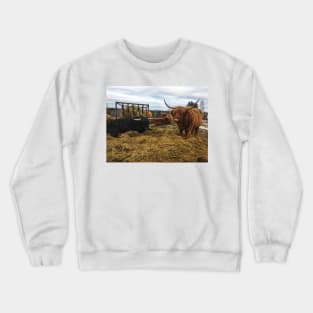 Scottish Highland Cattle Cows and Bull 2245 Crewneck Sweatshirt